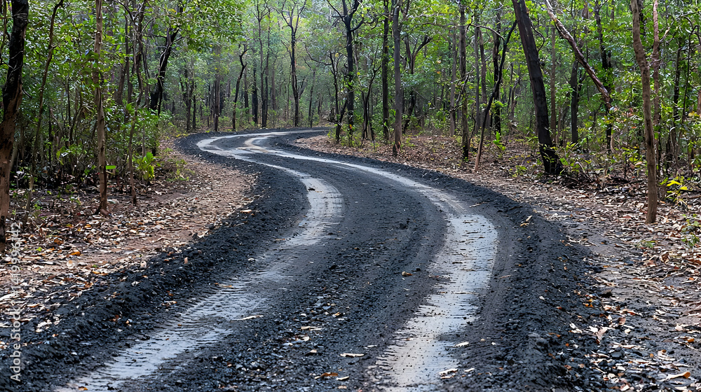 Naklejka premium Winding Dirt Road Through Lush Forest