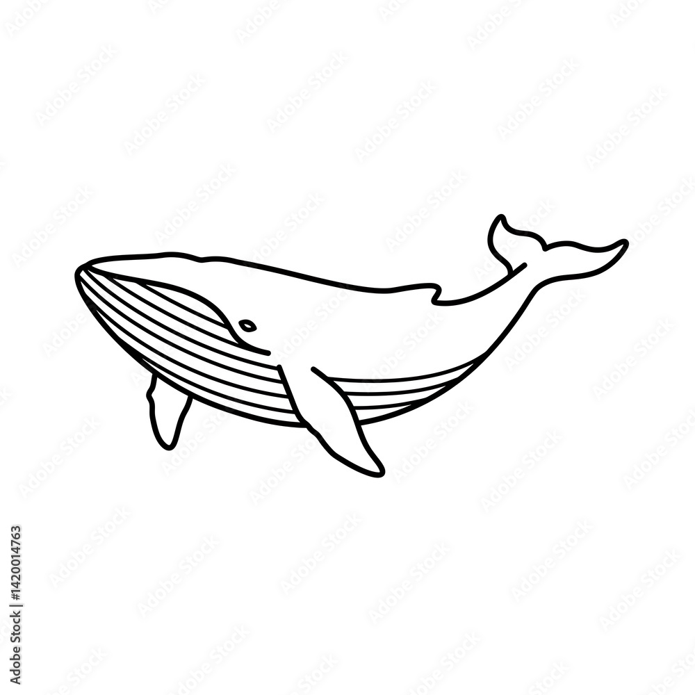Whale Illustration Simple Black Outline Drawing