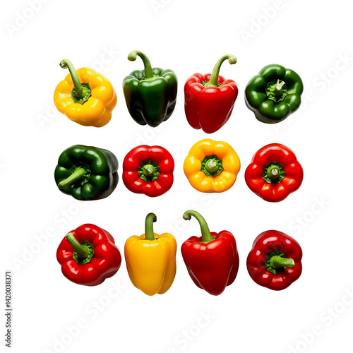 A fruit of red bell pepper vector icons isolated on white background