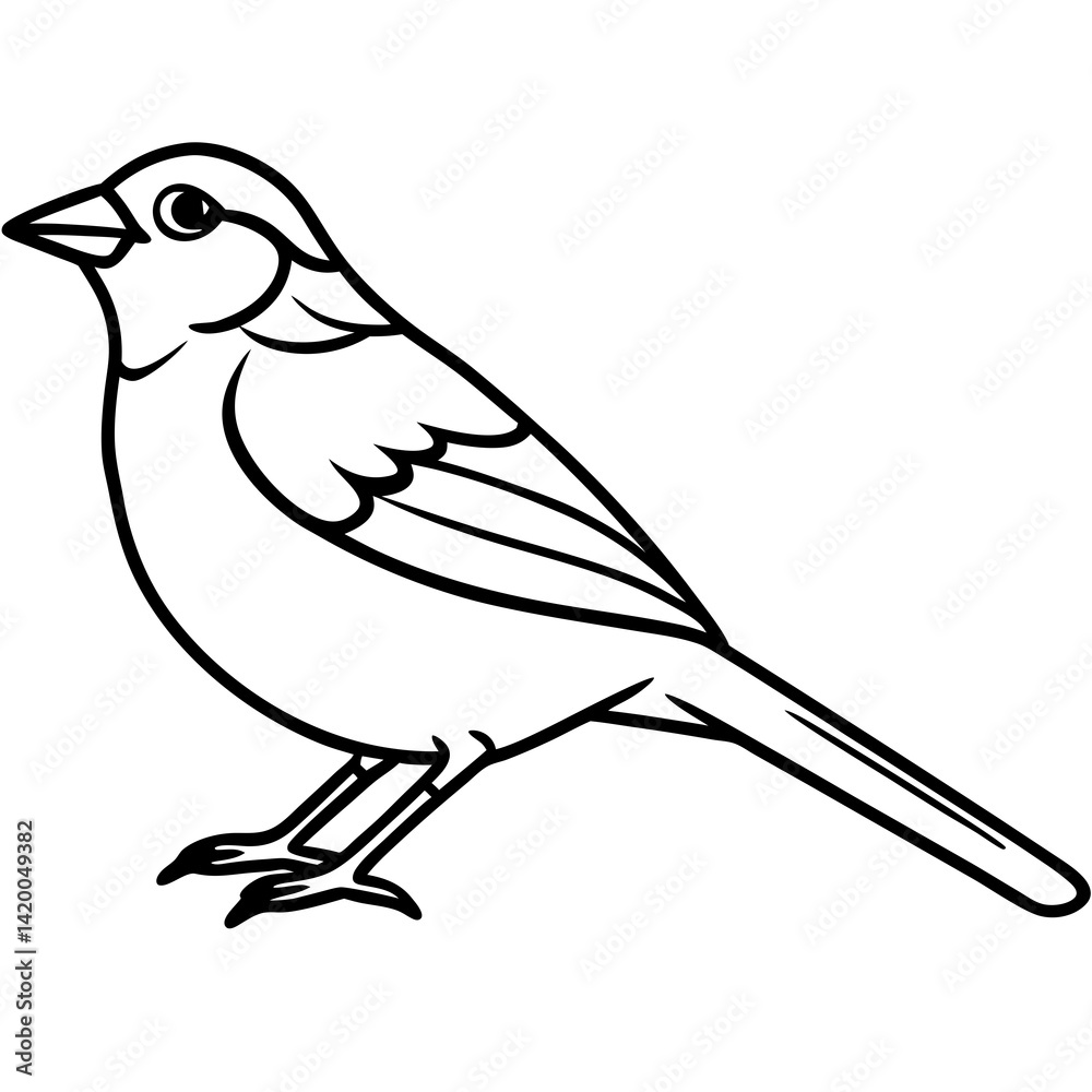 Simplistic Sparrow Line Drawing Vector Simplistic Sparrow Line Drawing Vector
