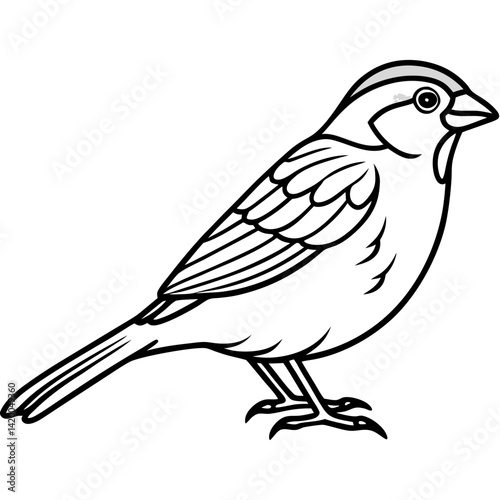 Simplistic Sparrow Line Drawing Vector
