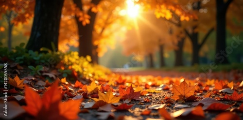 Wallpaper Mural Serene autumn morning with fallen leaves on the ground, nature, leaves, autumn Torontodigital.ca