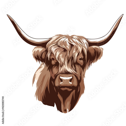 Cute highland cows funny vector white background
