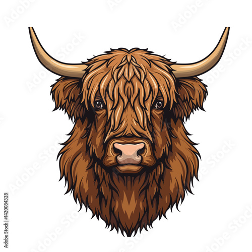 Cute highland cows funny vector white background
