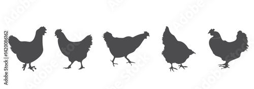 Hens silhouette Icon. Vector silhouette set of detailed quality chickens hens, poultry. Eps 10