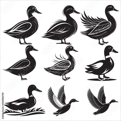 Duck silhouette vector