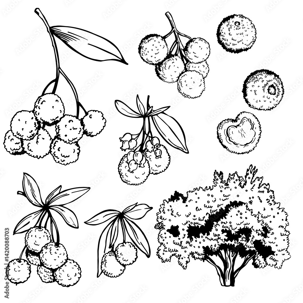 custom made wallpaper toronto digital9032.eps