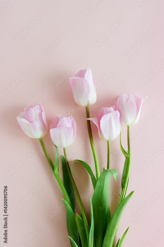 Fototapeta premium Pink tulip flowers bouquet on pink background . Floral card. Botanical fine art poster. Flowers background