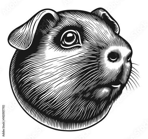 Detailed Woodcut Illustration of a Guinea Pig Portrait Profile