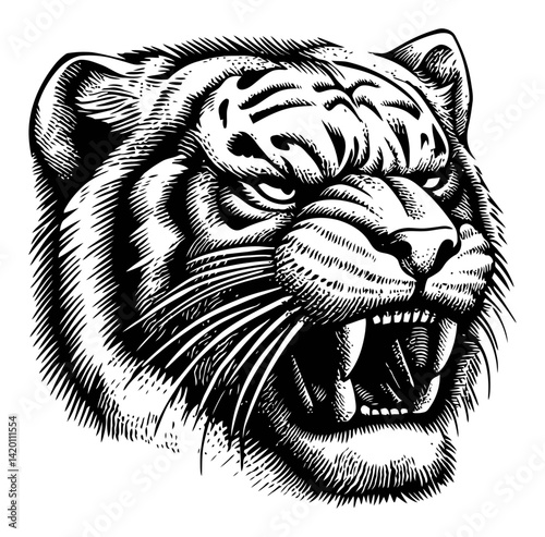Realistic Black and White Engraving of Tiger Head with Fierce Expression