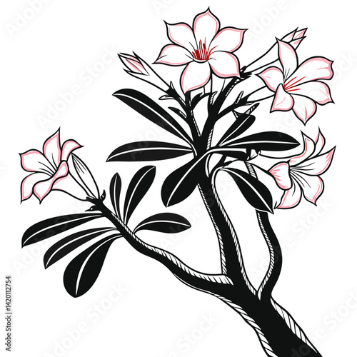 Fotografie Stylish Desert Rose Houseplant Illustration
