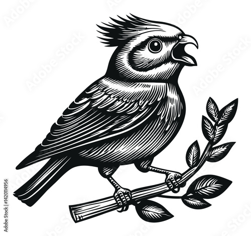 Detailed Woodcut or Engraving of a Singing Bird on a Branch