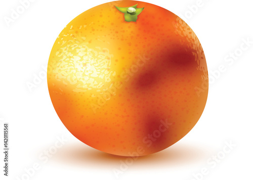 Close-up shot of a fresh, ripe orange fruit