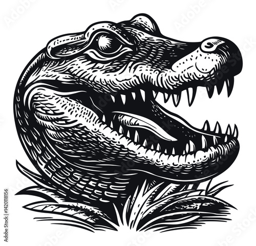 Detailed Hand-Drawn Engraving of a Crocodile Head Illustration