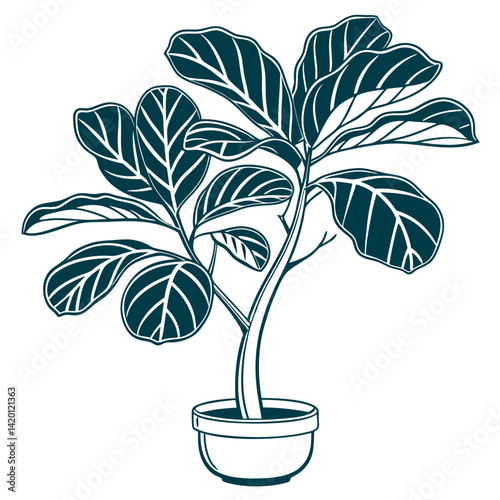  Unique Fiddle Leaf Fig Houseplant Outline Design
