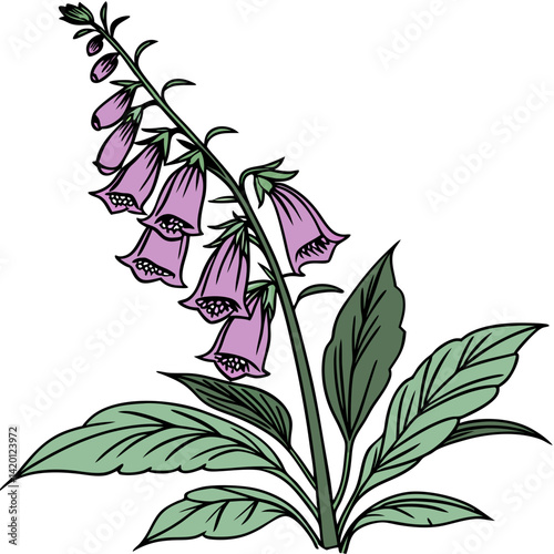  Sophisticated Foxglove Houseplant Vector Design