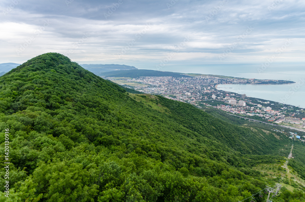 Fototapeta premium Sweeping view of Gelendzhik reveals lush green hills meeting bustling coastal cityscape. Overcast sky casts soft lighting, enhancing vibrant green hues. Black seas calm waters form scenic backdrop