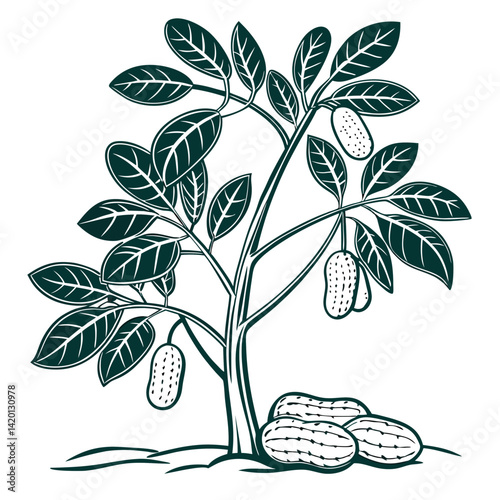  Vibrant Groundnut Plant Art for Home Decor