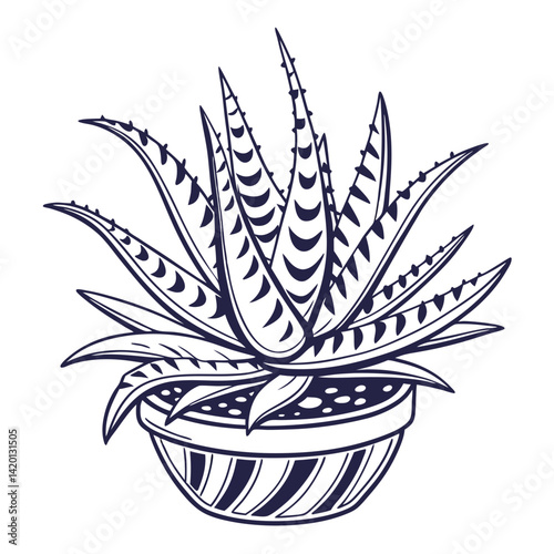  Charming Haworthia Houseplant Outline Art