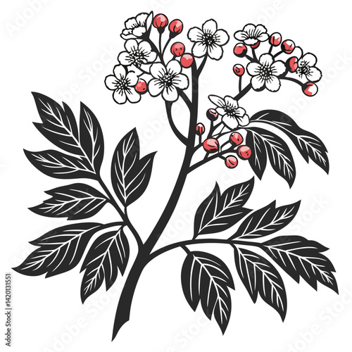  Unique Hawthorne Tree Houseplant Bold Outline