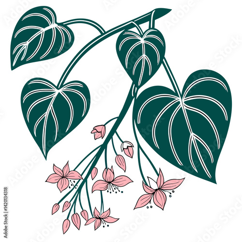  Vibrant Hoya Houseplant Design