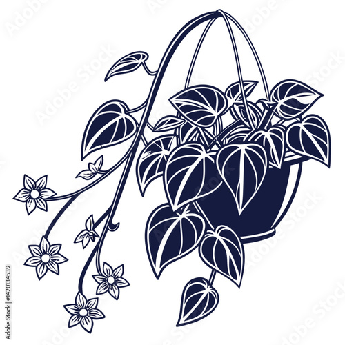  Elegant Hoya Marilyn Houseplant Illustration