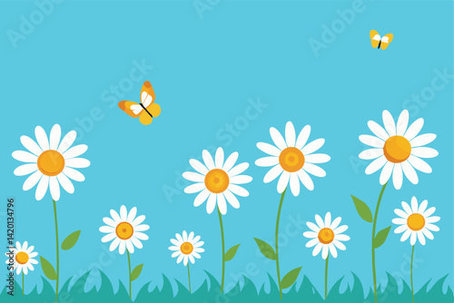daisies in the sky butterflies