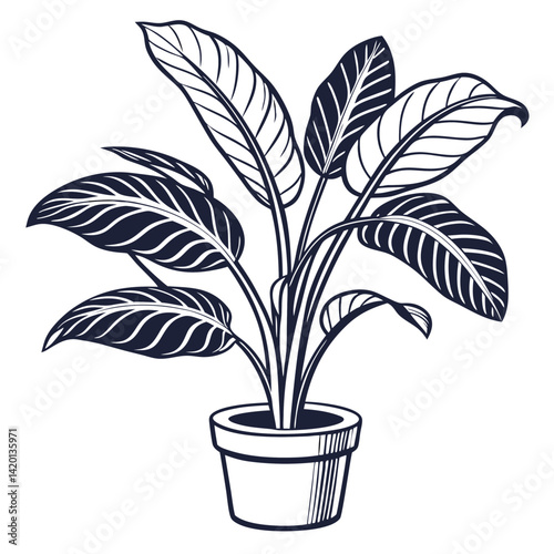  Stylish India Ink Plant Illustration