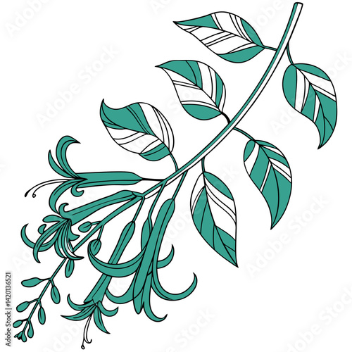  Charming Jade Vine Houseplant Art