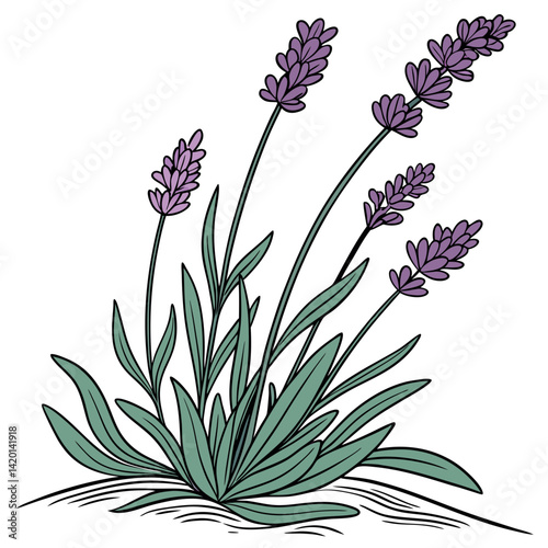  Charming Lavender Scentsation Houseplant Outline Art