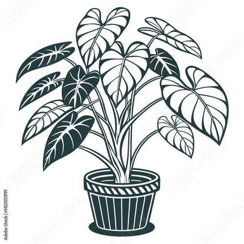 Stylish Monaco Plant Houseplant Outline Design