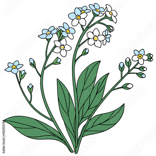  Stylish Myosotis Houseplant Outline Design