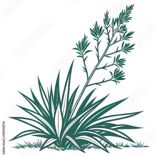  Stylish New Zealand Flax Houseplant Art
