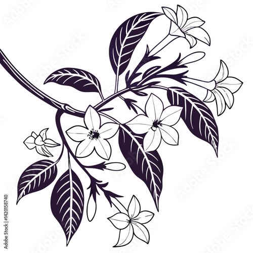  Stylish Night Blooming Jasmine Houseplant Art