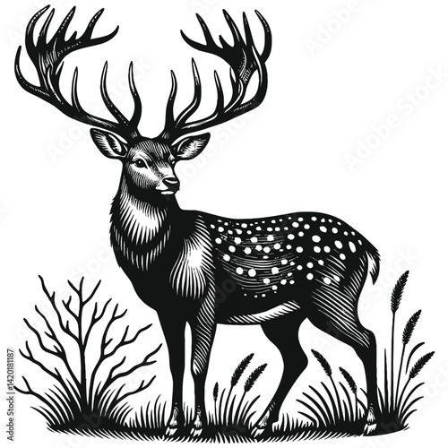silhouette of a deer
