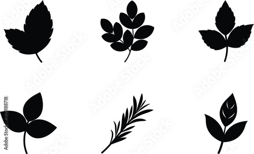 set of ayurvedic leaf silhouette