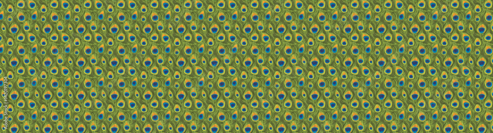 Fototapeta premium seamless pattern of peacock feathers on a black background. yellow outline, color drawing on an animal theme. stock vector illustration