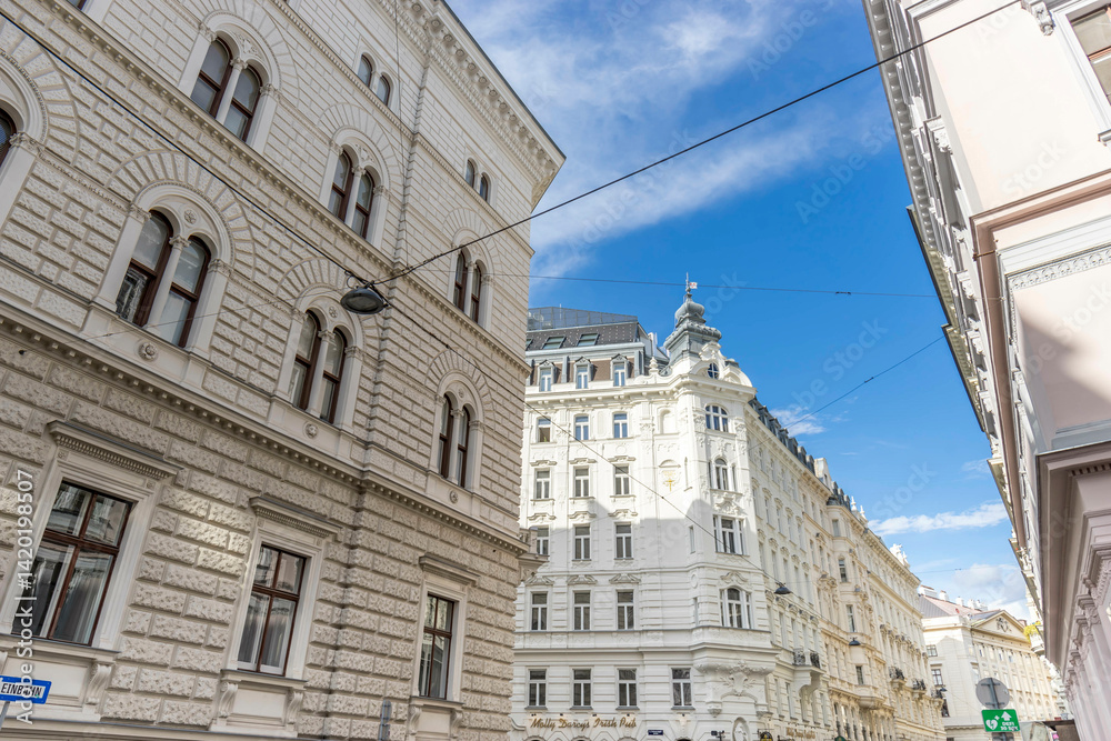 Fototapeta premium Beautiful View of the old town Vienna