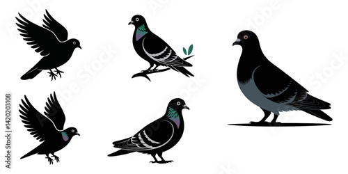 set of silhouettes of birds, Pigeons, Pigeon silhouettes, Vector set of pigeon silhouettes and cliparts, Bird Silhouette Collection.
