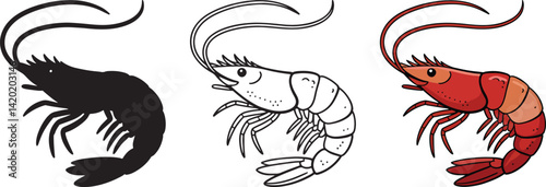 Shrimp colorful illustration and silhouette vector illustration isolated On Transparent Background