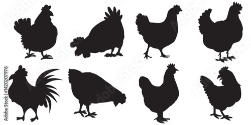 Set of vector chicken black silhouettes isolated on white background.