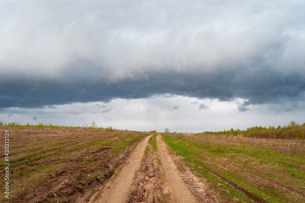 Naklejka premium Rural landscape, dirt road through the fields, stormy sky, spring time