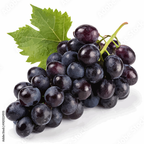 bunch of grapes