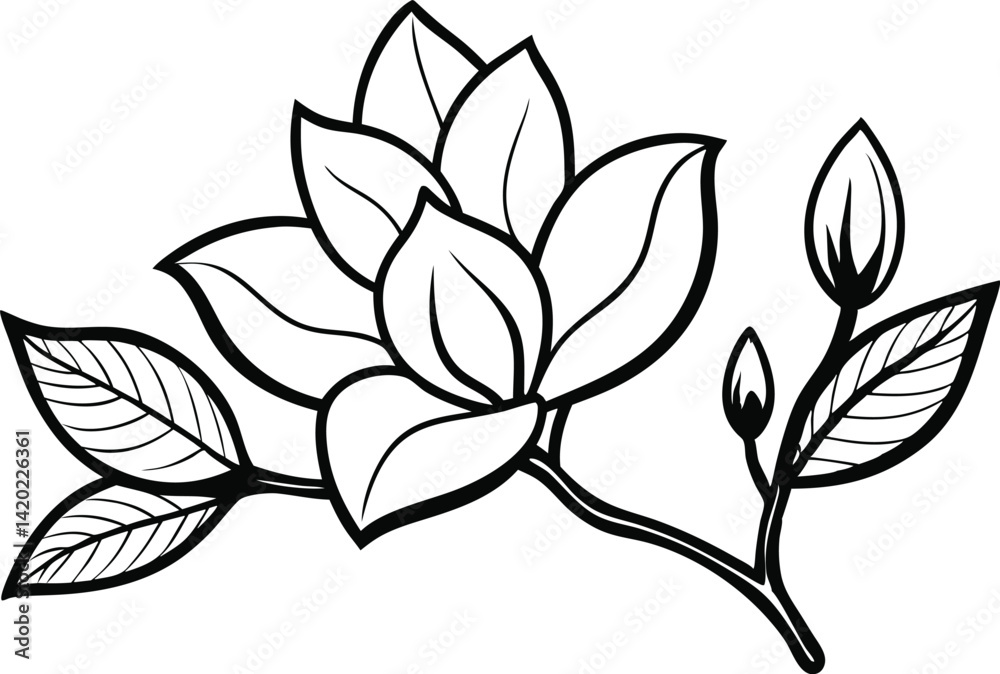 Intricate Magnolia Line Drawing – Elegant Black & White Botanical Illustration