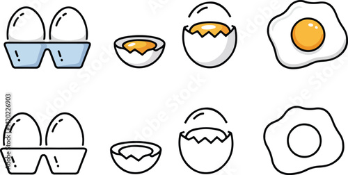 Egg Stages Illustration From Carton to Fried Egg