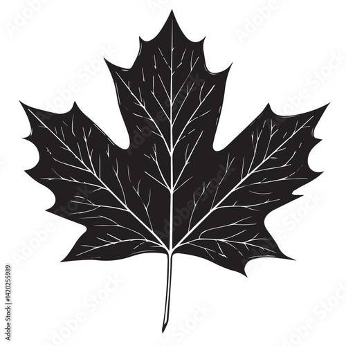black maple leaf on a white background, vector, black and white graphics
