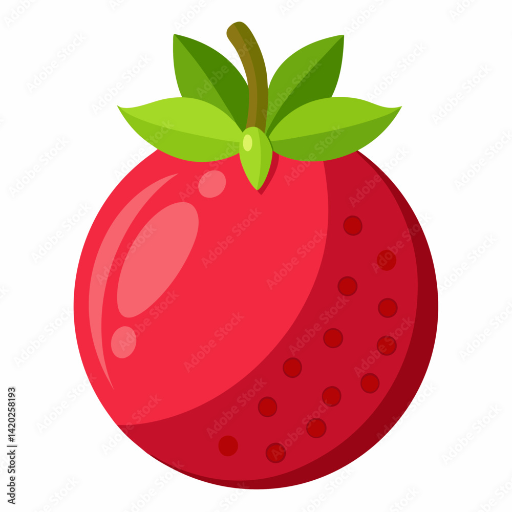Obraz premium A sweet pomegranate vector illustration