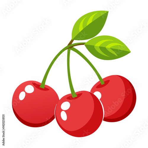 cherries vector illustration