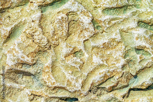 Palaeontology. Triassic argillaceous slate; bury. Fossil of habitat traces of animals. Burrow - cylindrical holes and passages made by iloivorous forms of worms, mollusks a?,?? filled with clay