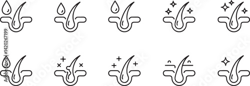 Hair Follicle Growth Stages Icons Set for Hair Care
